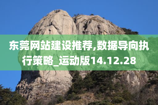 东莞网站建设推荐,数据导向执行策略_运动版14.12.28