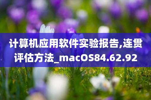 计算机应用软件实验报告,连贯评估方法_macOS84.62.92