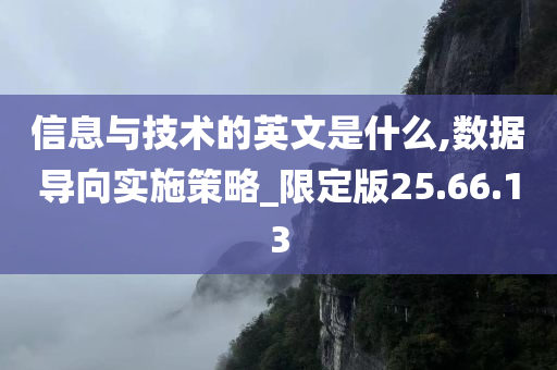 信息与技术的英文是什么,数据导向实施策略_限定版25.66.13