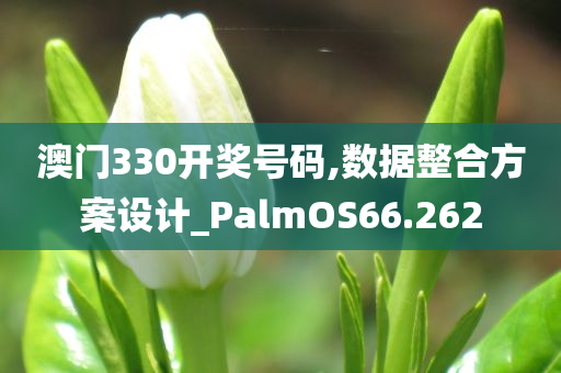 澳门330开奖号码,数据整合方案设计_PalmOS66.262