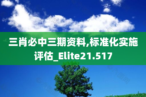 三肖必中三期资料,标准化实施评估_Elite21.517