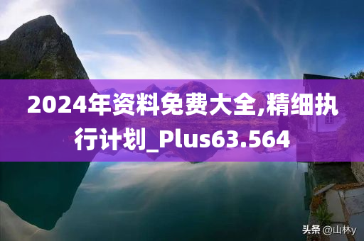 2024年资料免费大全,精细执行计划_Plus63.564