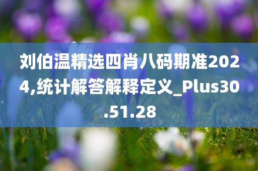 刘伯温精选四肖八码期准2024,统计解答解释定义_Plus30.51.28