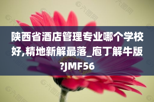 陕西省酒店管理专业哪个学校好,精地新解最落_庖丁解牛版?JMF56