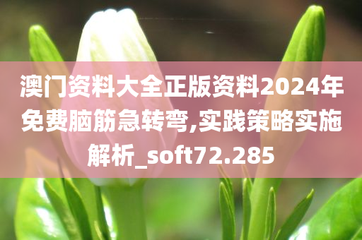 澳门资料大全正版资料2024年免费脑筋急转弯,实践策略实施解析_soft72.285