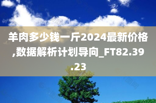 羊肉多少钱一斤2024最新价格,数据解析计划导向_FT82.39.23