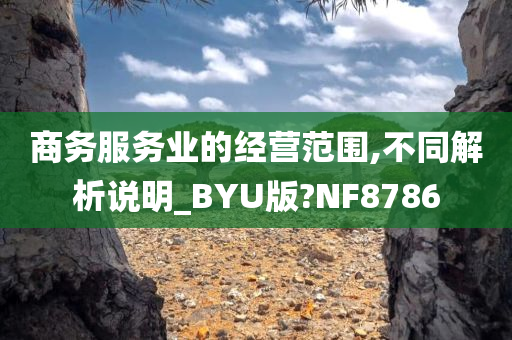 商务服务业的经营范围,不同解析说明_BYU版?NF8786