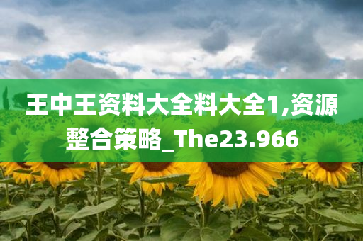 王中王资料大全料大全1,资源整合策略_The23.966