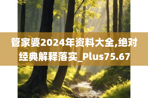 管家婆2024年资料大全,绝对经典解释落实_Plus75.67