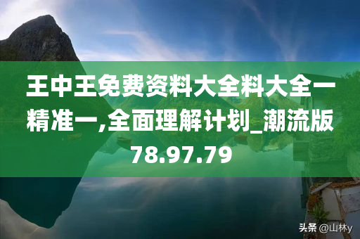 王中王免费资料大全料大全一精准一,全面理解计划_潮流版78.97.79