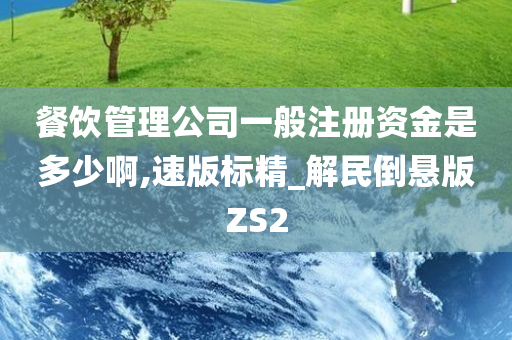 餐饮管理公司一般注册资金是多少啊,速版标精_解民倒悬版ZS2