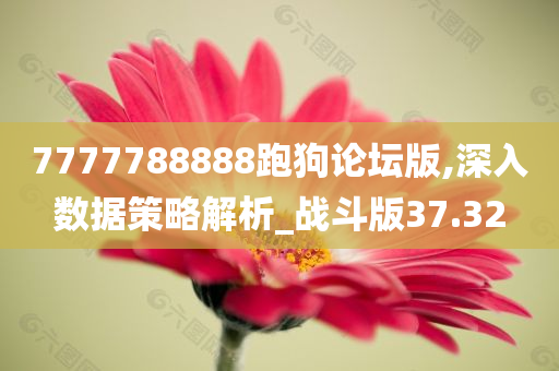 7777788888跑狗论坛版,深入数据策略解析_战斗版37.32