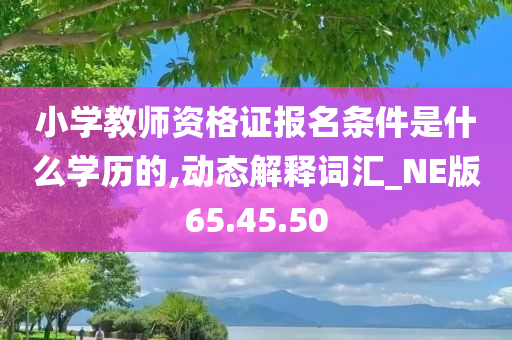 小学教师资格证报名条件是什么学历的,动态解释词汇_NE版65.45.50