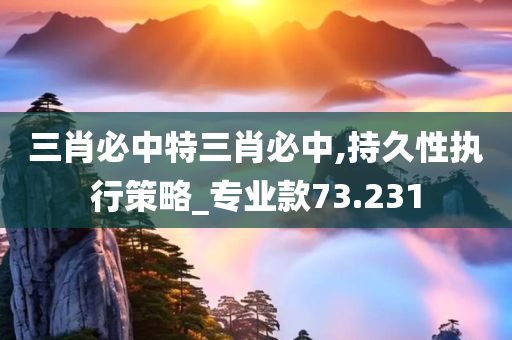 三肖必中特三肖必中,持久性执行策略_专业款73.231