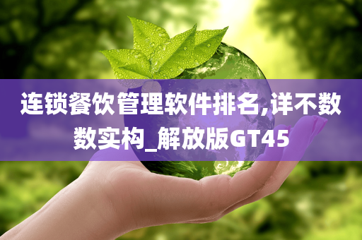 连锁餐饮管理软件排名,详不数数实构_解放版GT45