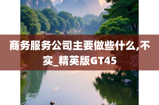 商务服务公司主要做些什么,不实_精英版GT45