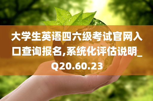 大学生英语四六级考试官网入口查询报名,系统化评估说明_Q20.60.23