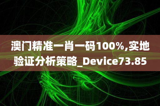 澳门精准一肖一码100%,实地验证分析策略_Device73.85