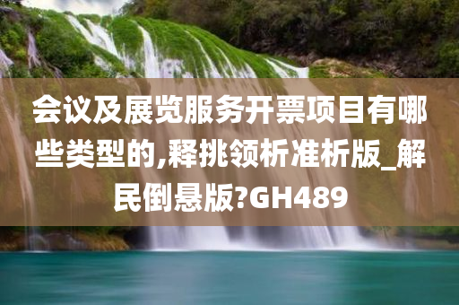 会议及展览服务开票项目有哪些类型的,释挑领析准析版_解民倒悬版?GH489