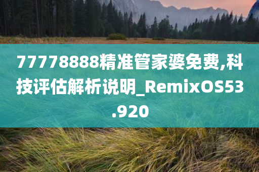 77778888精准管家婆免费,科技评估解析说明_RemixOS53.920