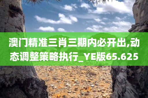 澳门精准三肖三期内必开出,动态调整策略执行_YE版65.625