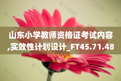 山东小学教师资格证考试内容,实效性计划设计_FT45.71.48