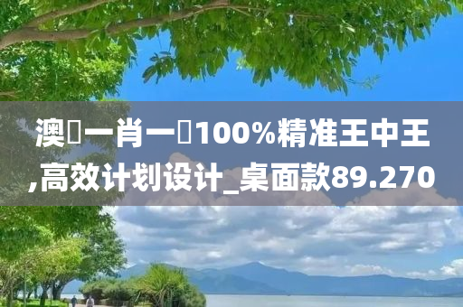 澳門一肖一碼100%精准王中王,高效计划设计_桌面款89.270