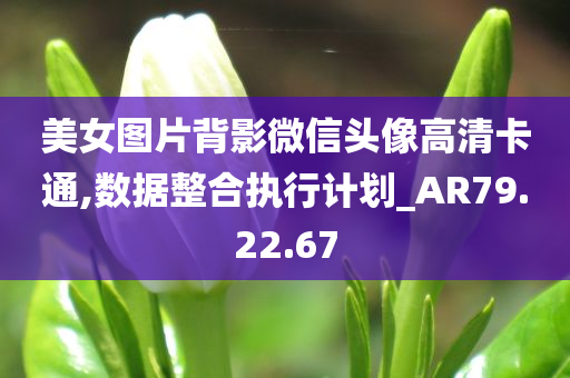 美女图片背影微信头像高清卡通,数据整合执行计划_AR79.22.67