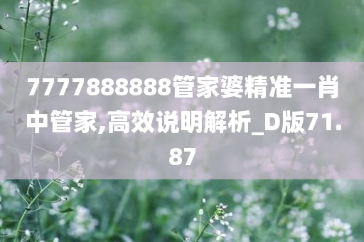 7777888888管家婆精准一肖中管家,高效说明解析_D版71.87