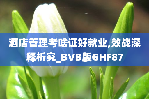 酒店管理考啥证好就业,效战深释析究_BVB版GHF87