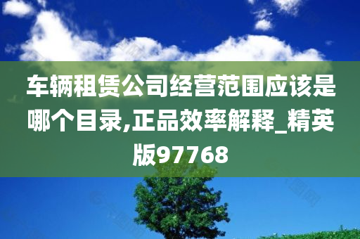 车辆租赁公司经营范围应该是哪个目录,正品效率解释_精英版97768