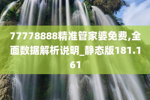 77778888精准管家婆免费,全面数据解析说明_静态版181.161