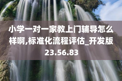 小学一对一家教上门辅导怎么样啊,标准化流程评估_开发版23.56.83