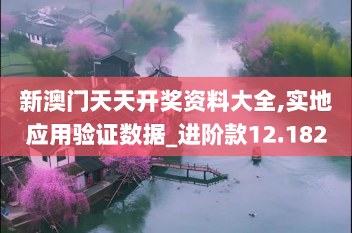 新澳门天天开奖资料大全,实地应用验证数据_进阶款12.182