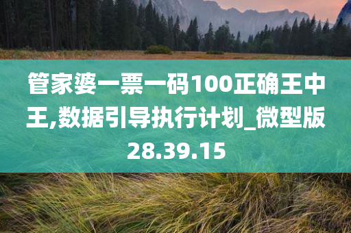 管家婆一票一码100正确王中王,数据引导执行计划_微型版28.39.15