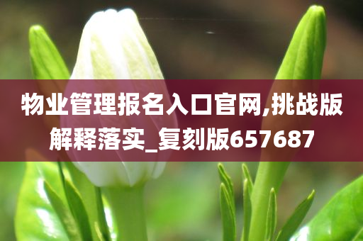 物业管理报名入口官网,挑战版解释落实_复刻版657687