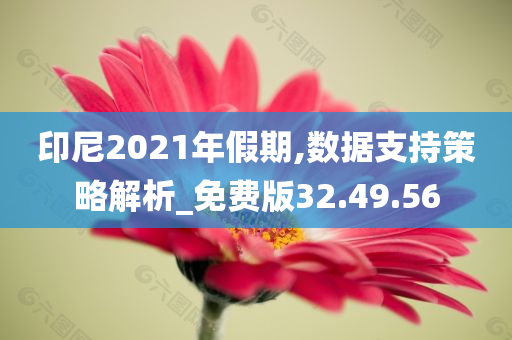 印尼2021年假期,数据支持策略解析_免费版32.49.56