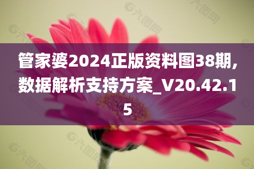 管家婆2024正版资料图38期,数据解析支持方案_V20.42.15