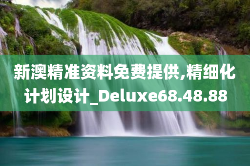 新澳精准资料免费提供,精细化计划设计_Deluxe68.48.88