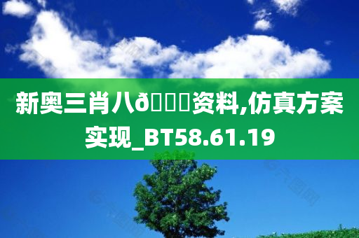 新奥三肖八🐎资料,仿真方案实现_BT58.61.19