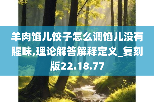 羊肉馅儿饺子怎么调馅儿没有腥味,理论解答解释定义_复刻版22.18.77