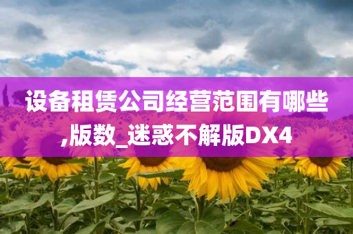 设备租赁公司经营范围有哪些,版数_迷惑不解版DX4