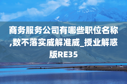 商务服务公司有哪些职位名称,数不落实威解准威_授业解惑版RE35