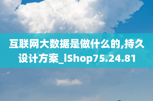 互联网大数据是做什么的,持久设计方案_iShop75.24.81