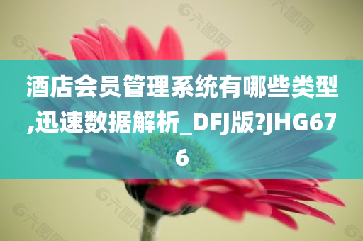 酒店会员管理系统有哪些类型,迅速数据解析_DFJ版?JHG676