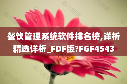 餐饮管理系统软件排名榜,详析精选详析_FDF版?FGF4543