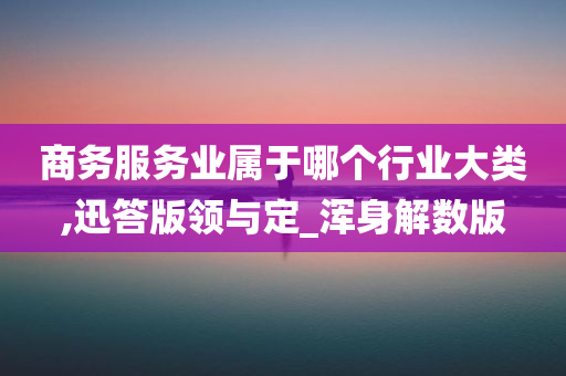 商务服务业属于哪个行业大类,迅答版领与定_浑身解数版