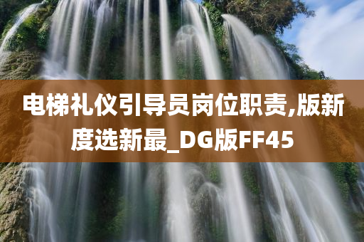 电梯礼仪引导员岗位职责,版新度选新最_DG版FF45