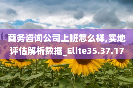 商务咨询公司上班怎么样,实地评估解析数据_Elite35.37.17