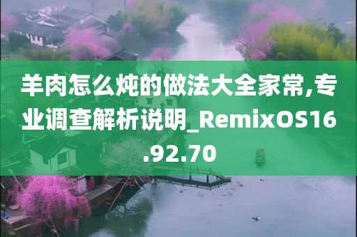 羊肉怎么炖的做法大全家常,专业调查解析说明_RemixOS16.92.70